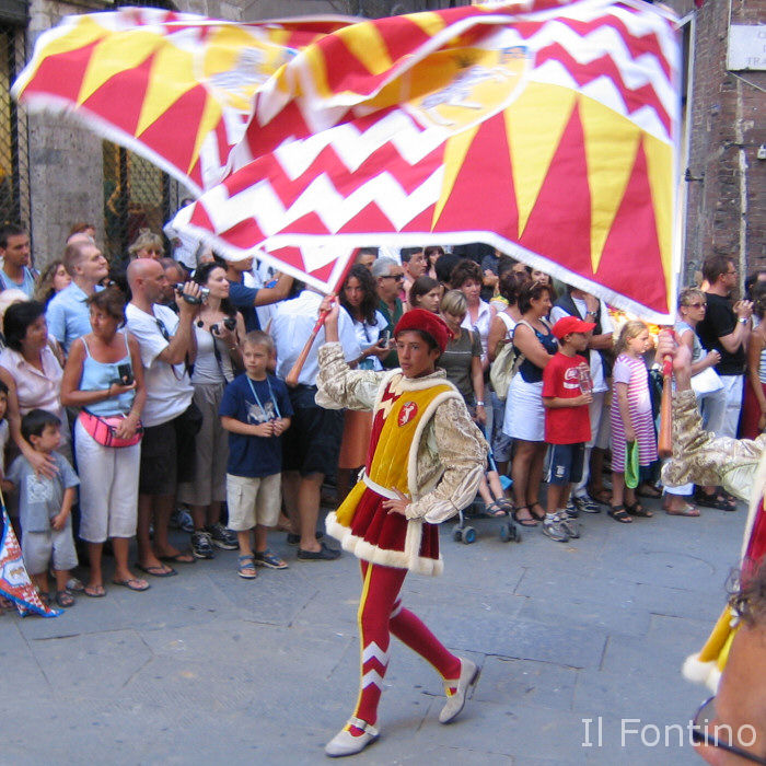 © Gregor Buschkötter • Il Fontino • Guardistallo • Vacation