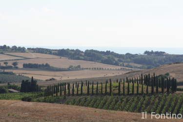 © Gregor Buschkötter • Il Fontino • Guardistallo • Vacation • Tuscany